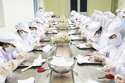 C&ocirc;ng ty Yến s&agrave;o Kh&aacute;nh H&ograve;a tăng trưởng vượt bậc trong hoạt động sản xuất kinh doanh.